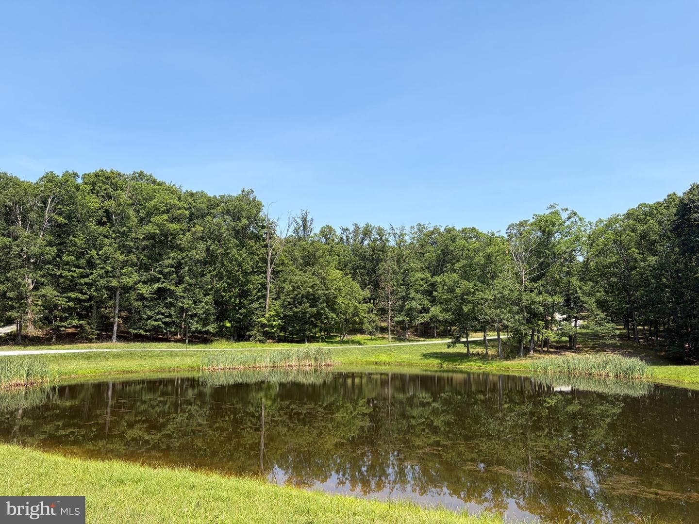 159 Bear Paw Lane photo 43