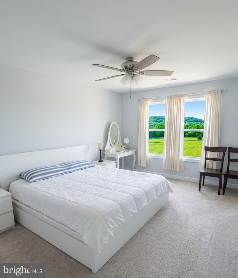 123 Hank Aaron Road photo 20