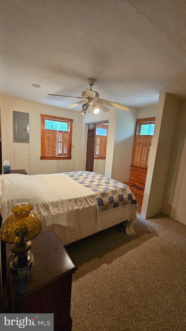 80 Trofton Hollow Court photo 10