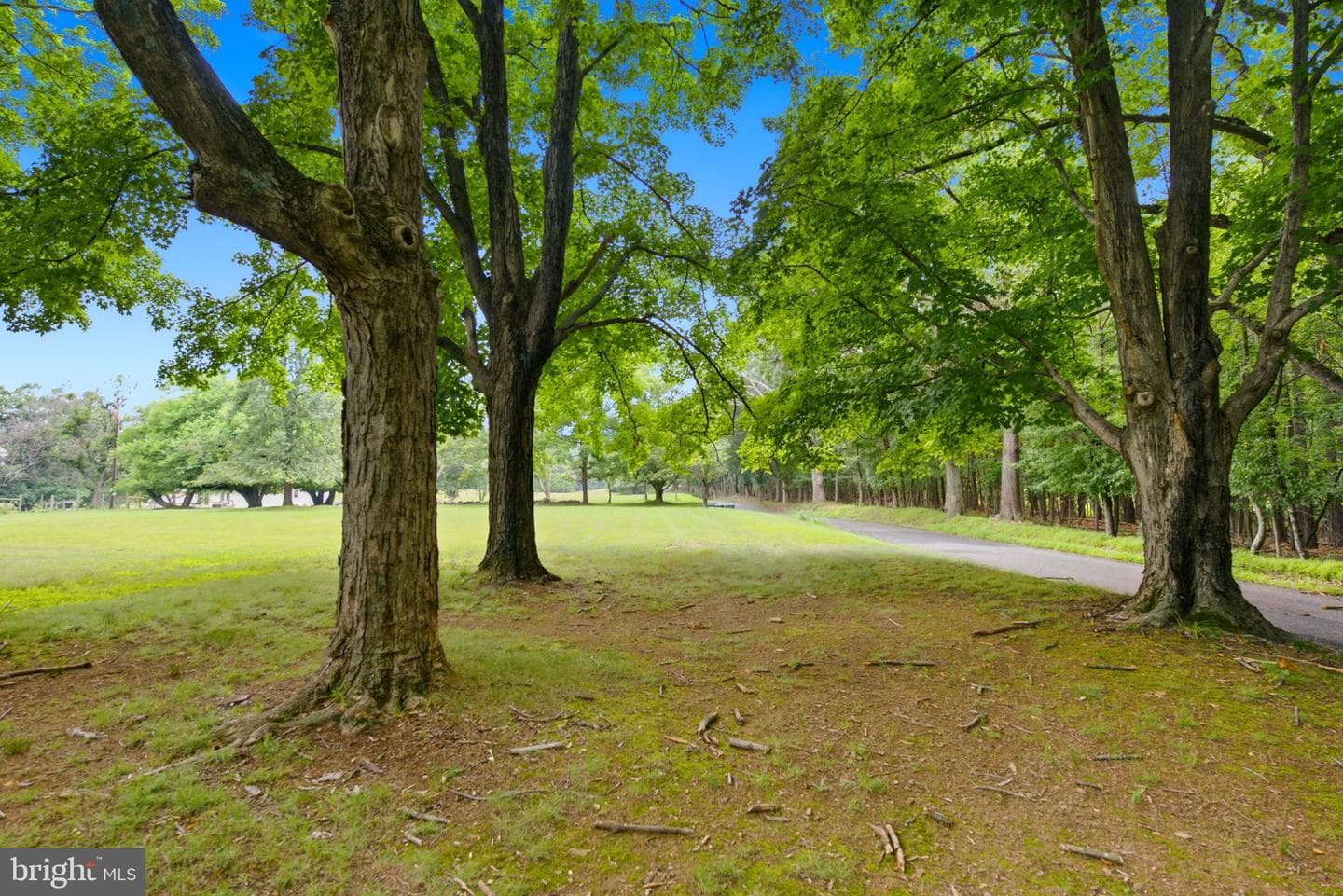 2197 Mauzy Road photo 69