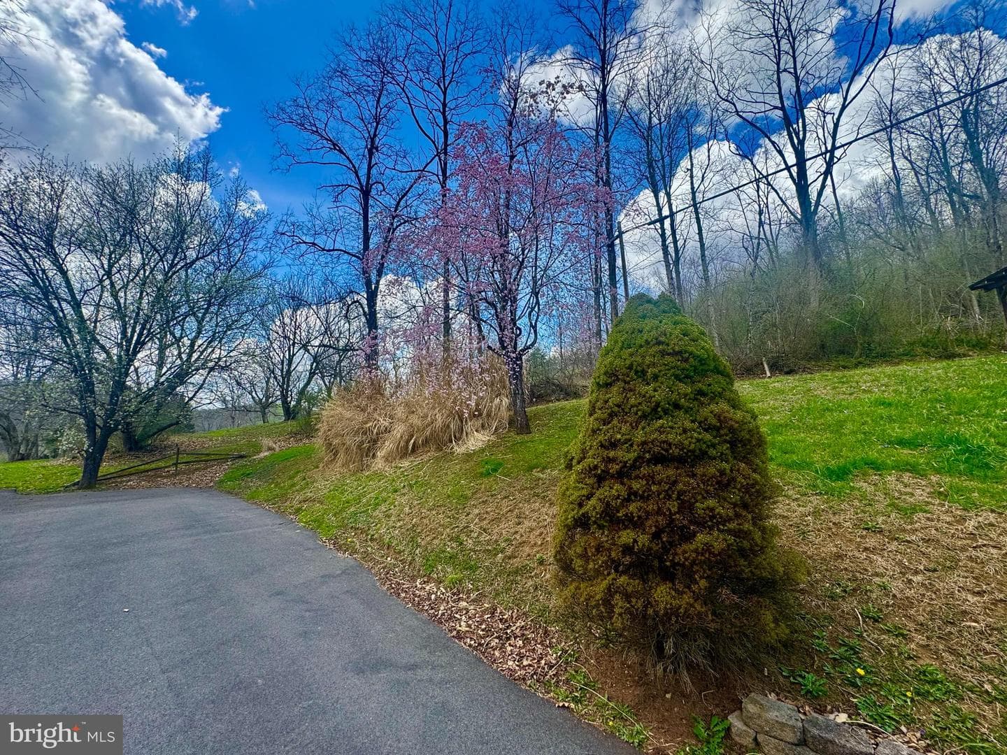 672 Buffalo Brink Rd photo 31