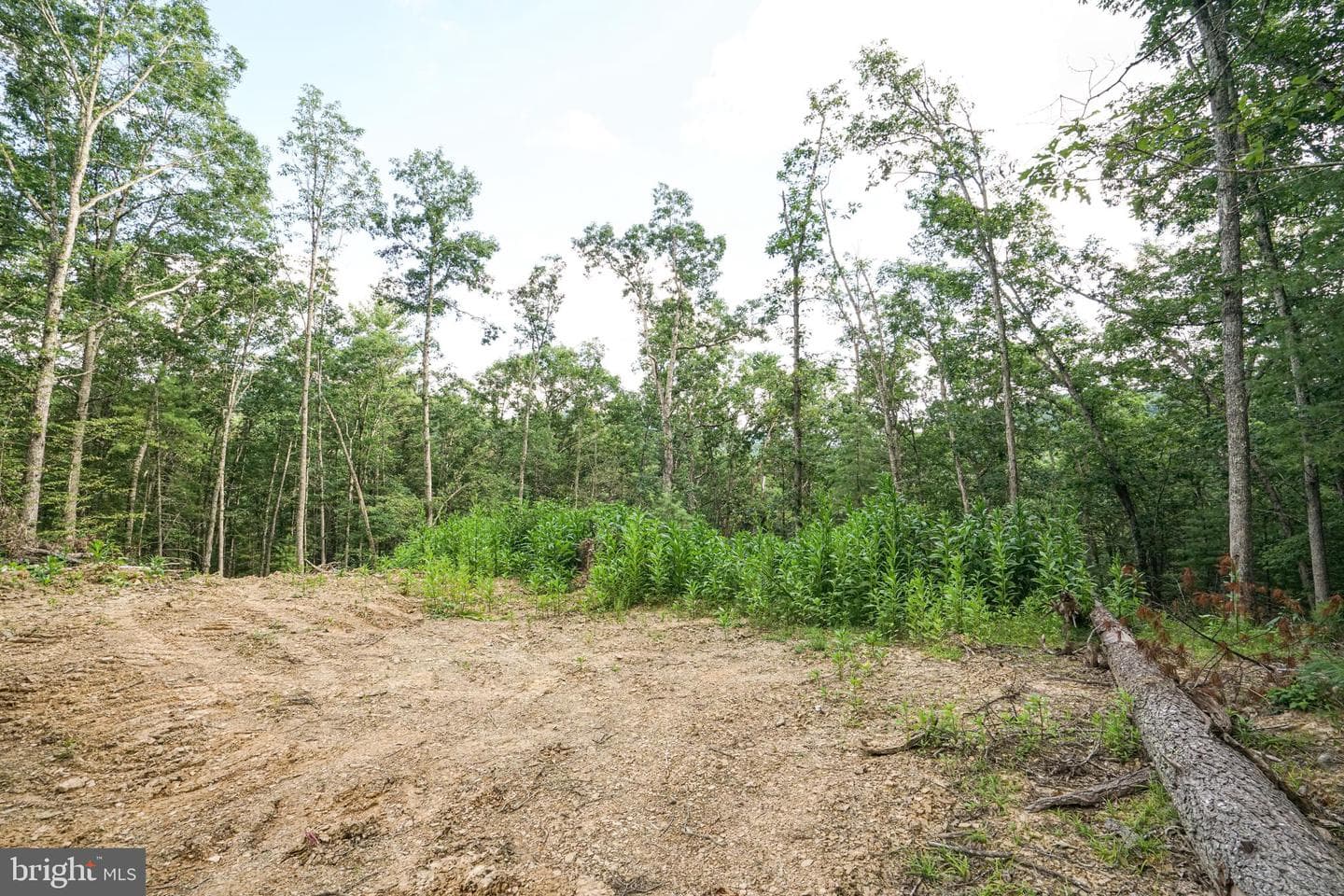3259 Potomac Highlands Trl photo 31