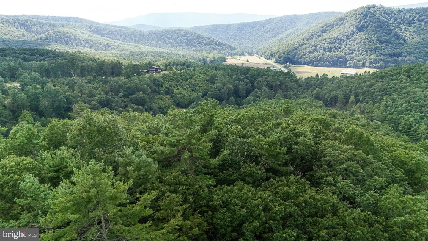 3259 Potomac Highlands Trl photo 38
