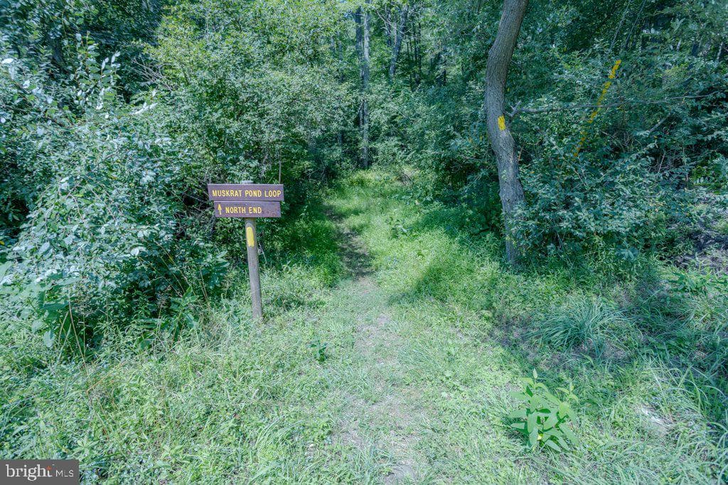 174 Sumac Lane photo 77