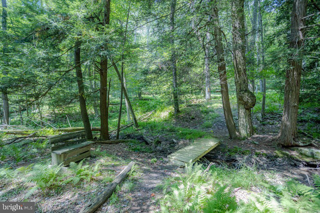 174 Sumac Lane photo 78