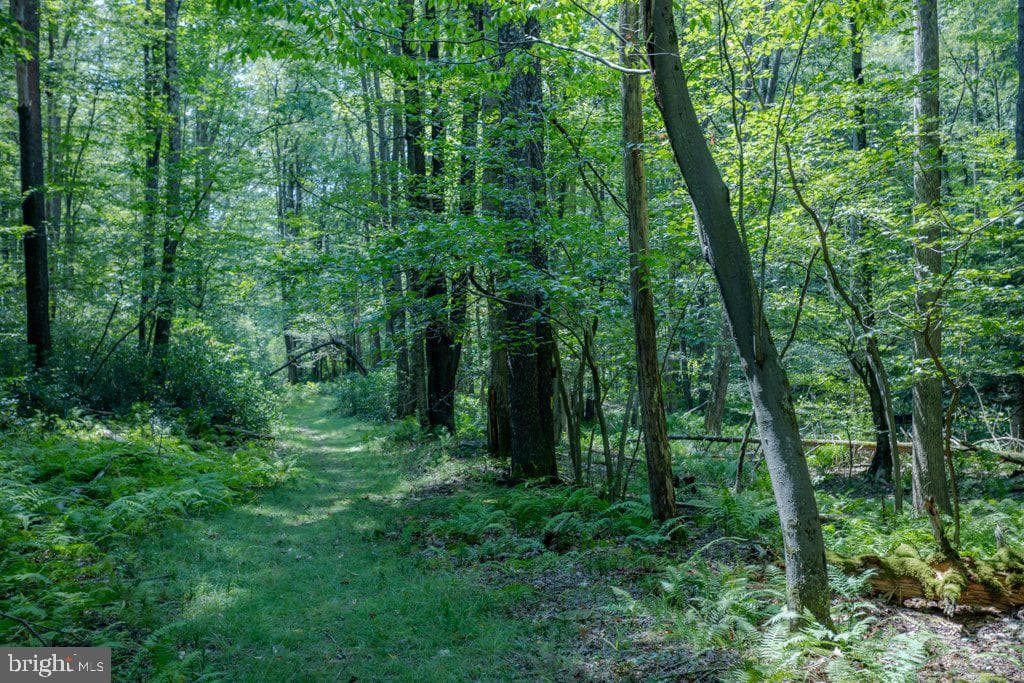 174 Sumac Lane photo 79