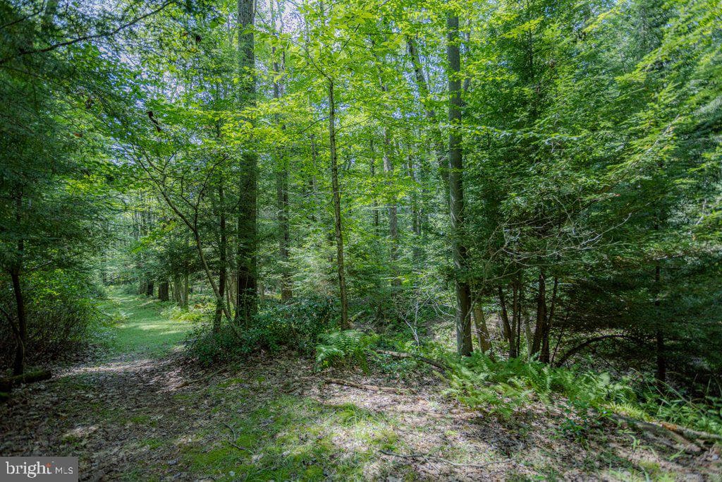 174 Sumac Lane photo 80