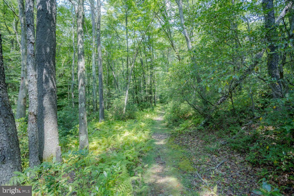174 Sumac Lane photo 81