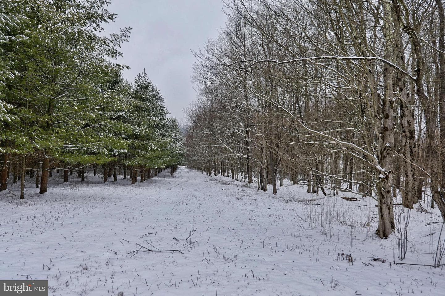 770 Oak Grove Cemetery Road photo 46