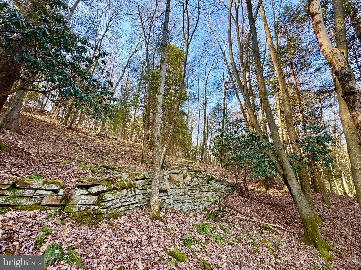 268 Wild Flower Way photo 17