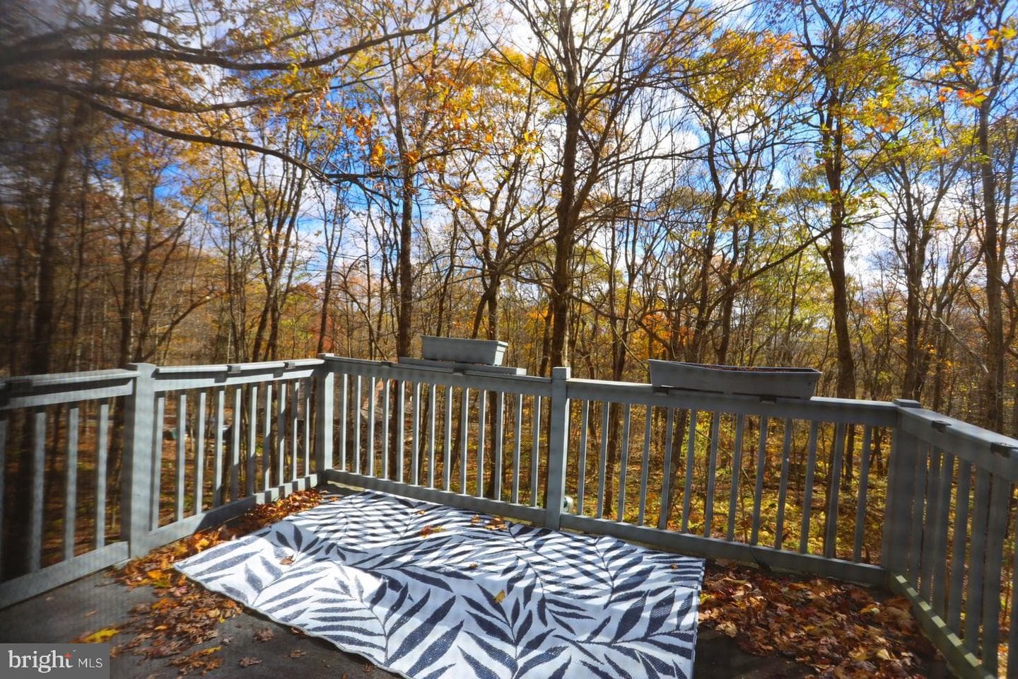 1218 E Alpine Drive photo 44