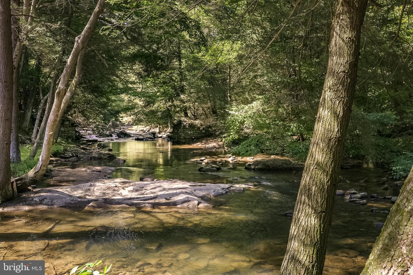 653 Watersound Trace photo 48