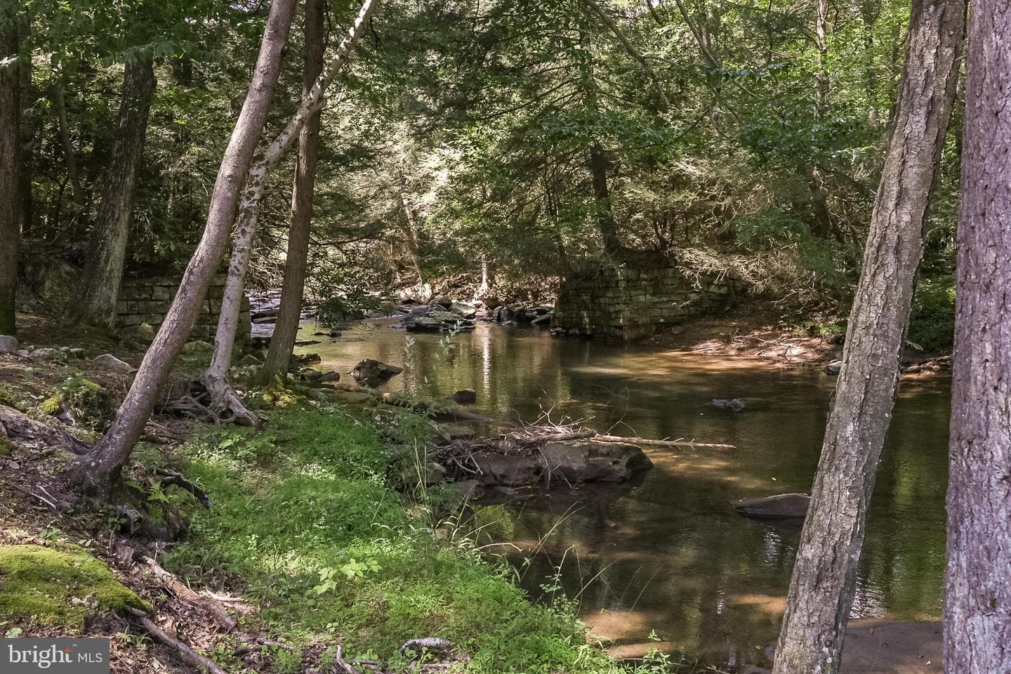 653 Watersound Trace photo 49