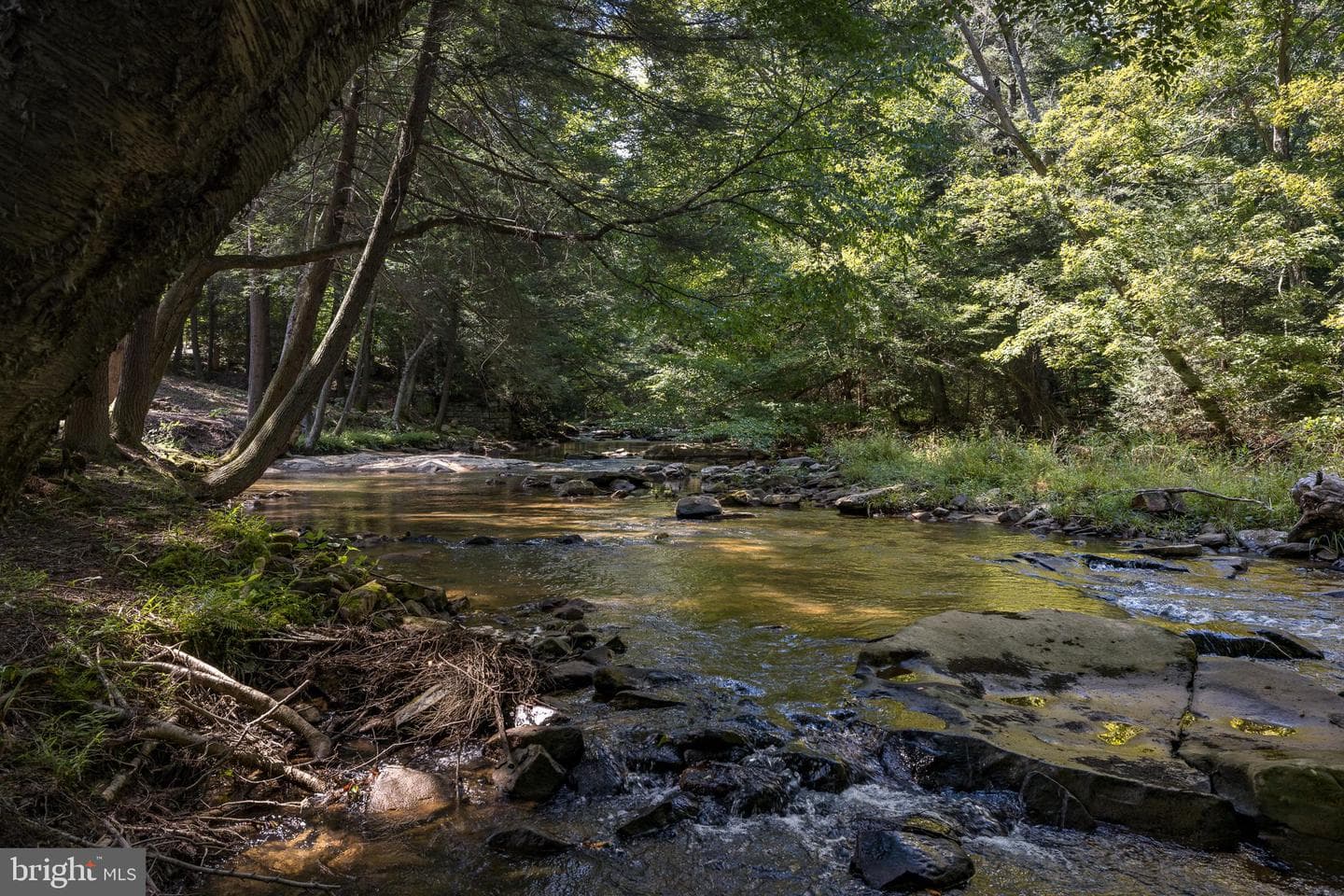 653 Watersound Trace photo 52