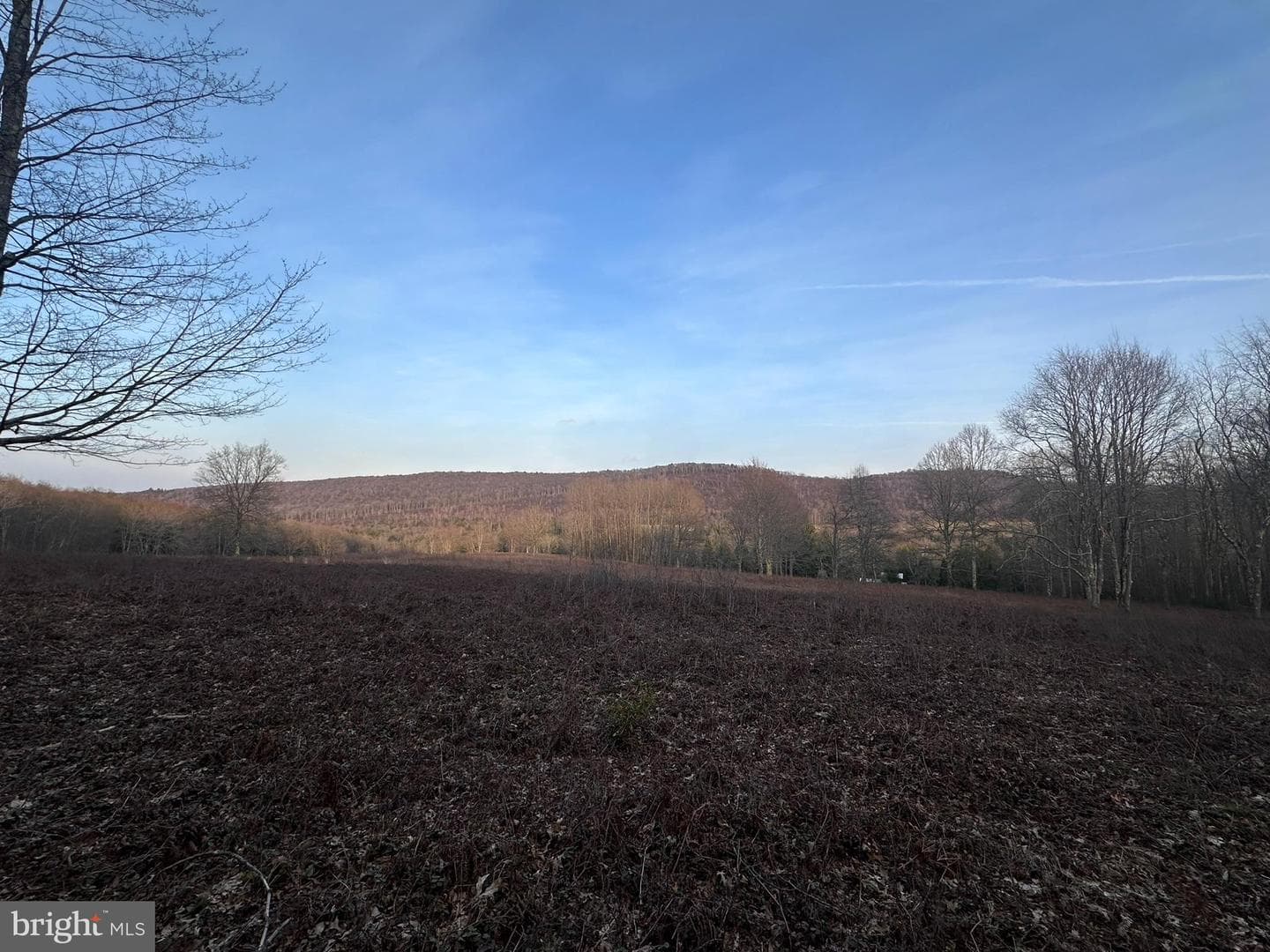 1157 Lakeford Road photo 12