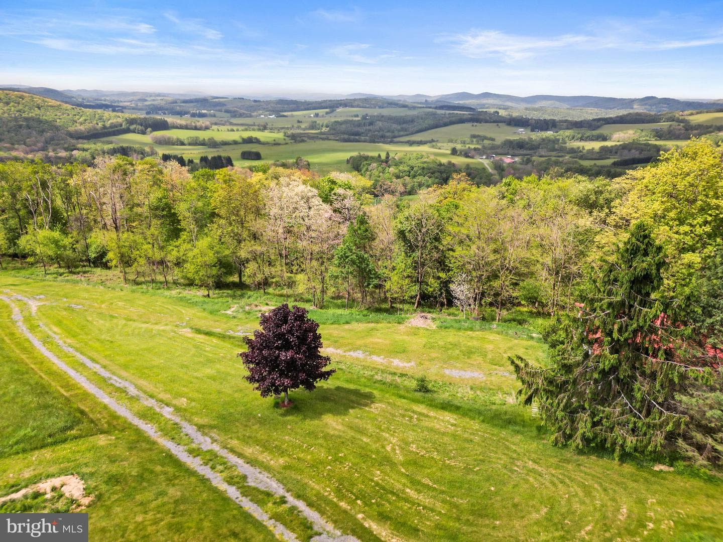 1516 White Oak School Road photo 8