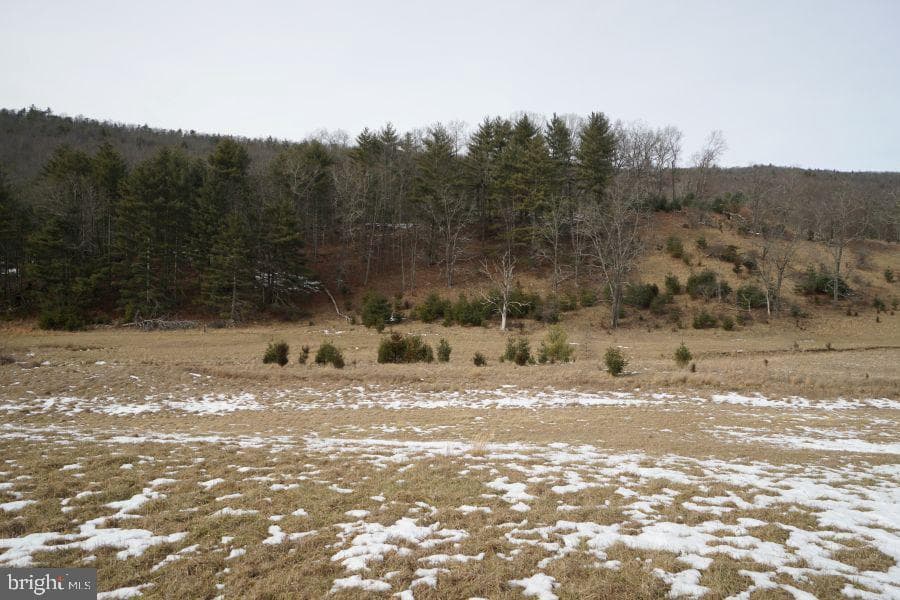 255 Troublesome Valley Road photo 56