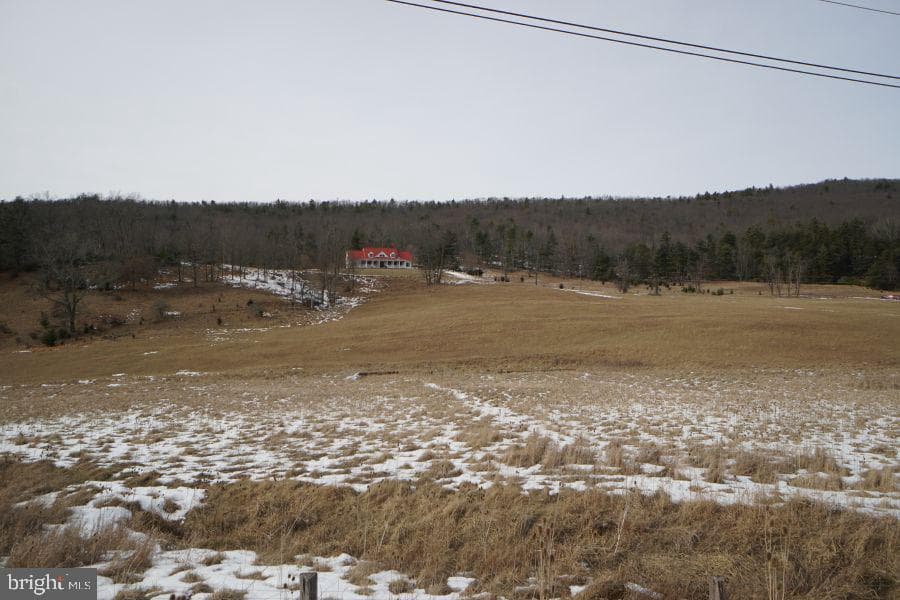 255 Troublesome Valley Road photo 6