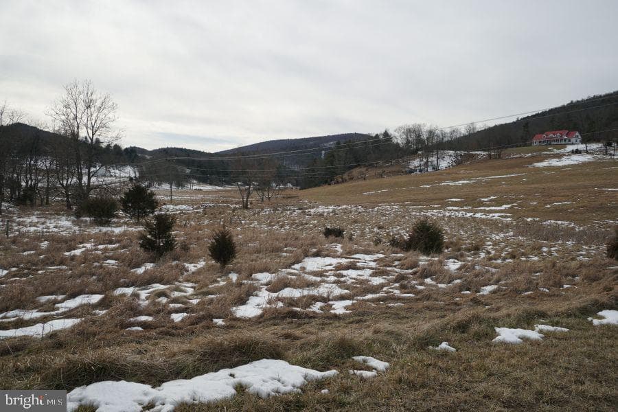 255 Troublesome Valley Road photo 60