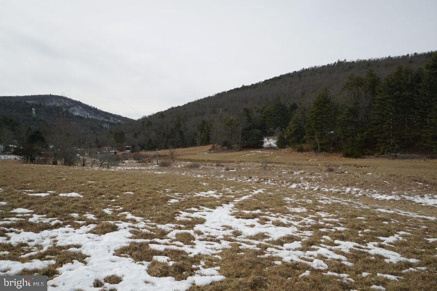 255 Troublesome Valley Road photo 61