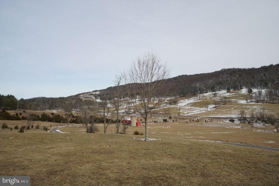 255 Troublesome Valley Road photo 62