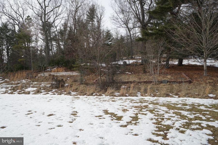 255 Troublesome Valley Road photo 65