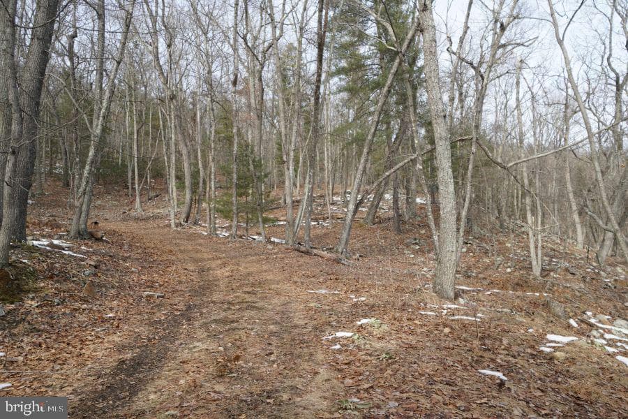 255 Troublesome Valley Road photo 70
