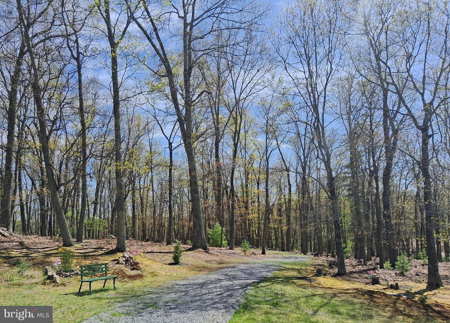 741 Loop Road photo 15