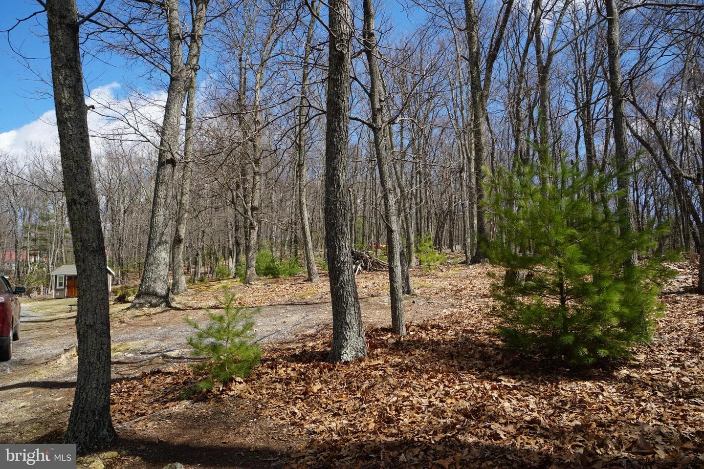 741 Loop Road photo 79