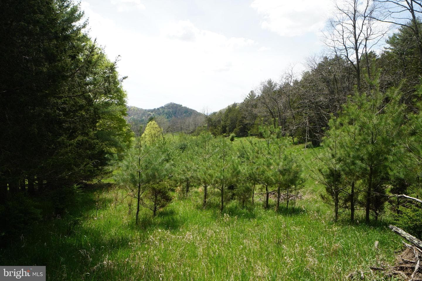 386 Rocky Mountain Road photo 12