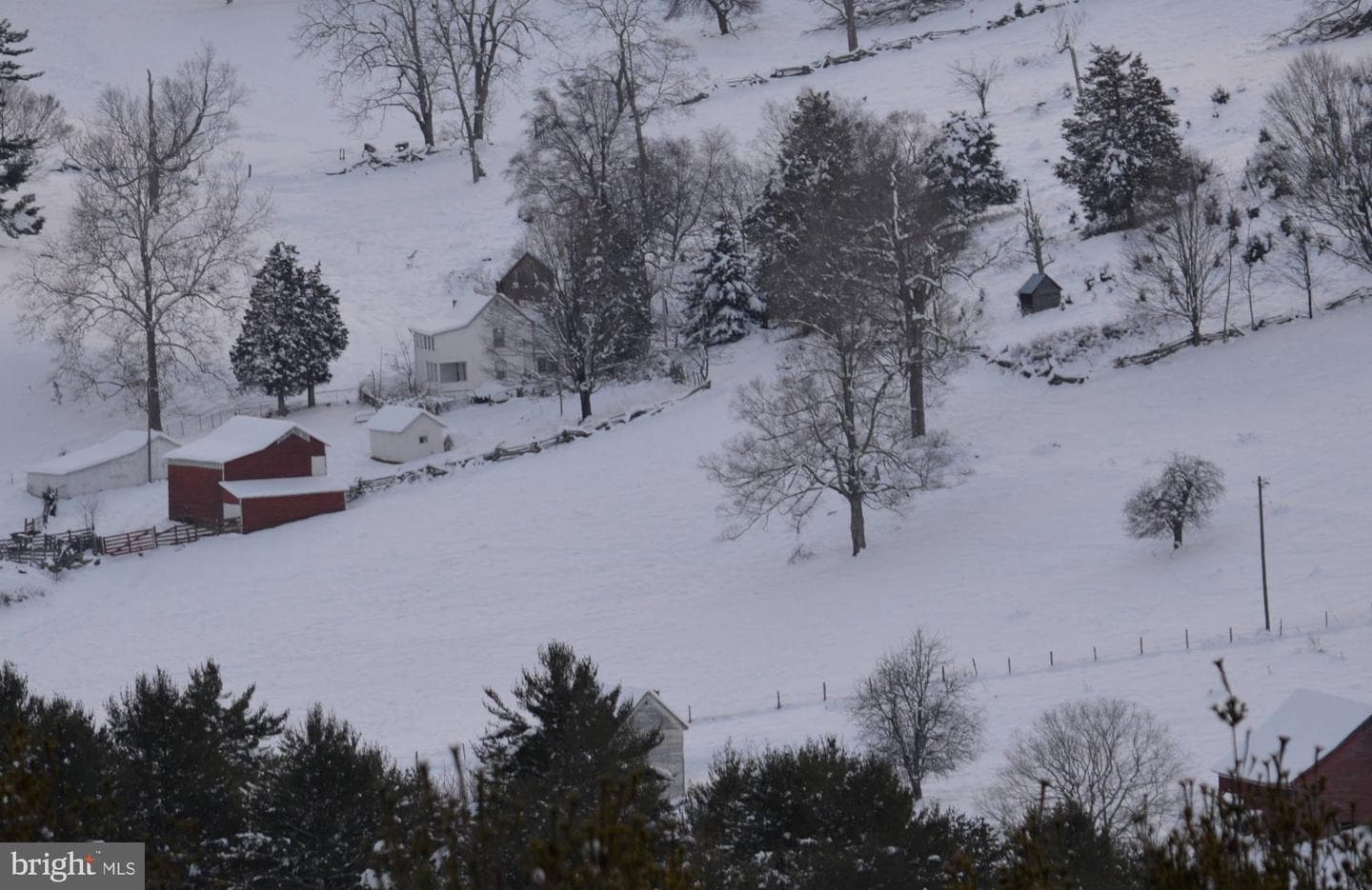 270 Dahmer Road photo 10