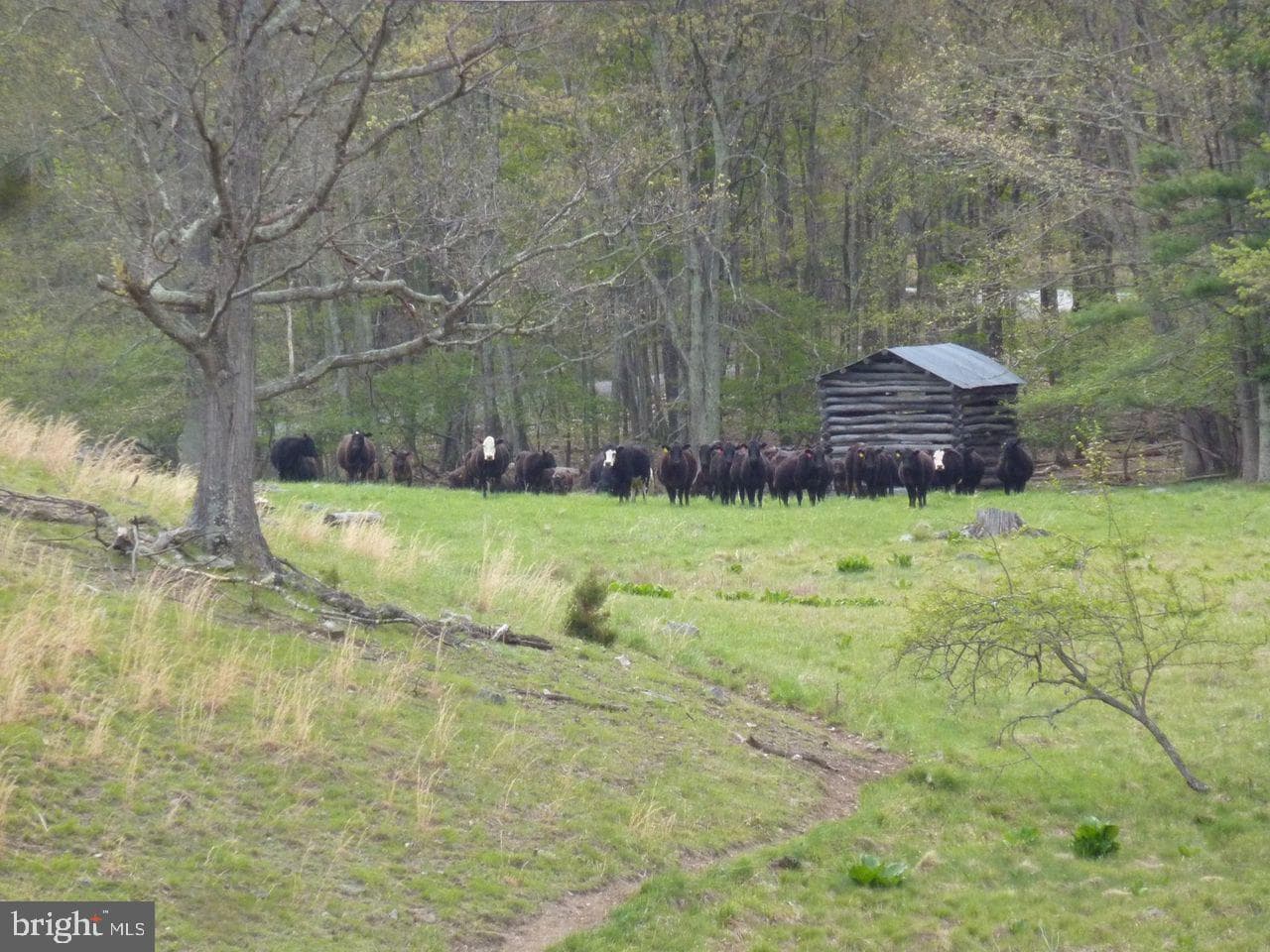 270 Dahmer Road photo 12