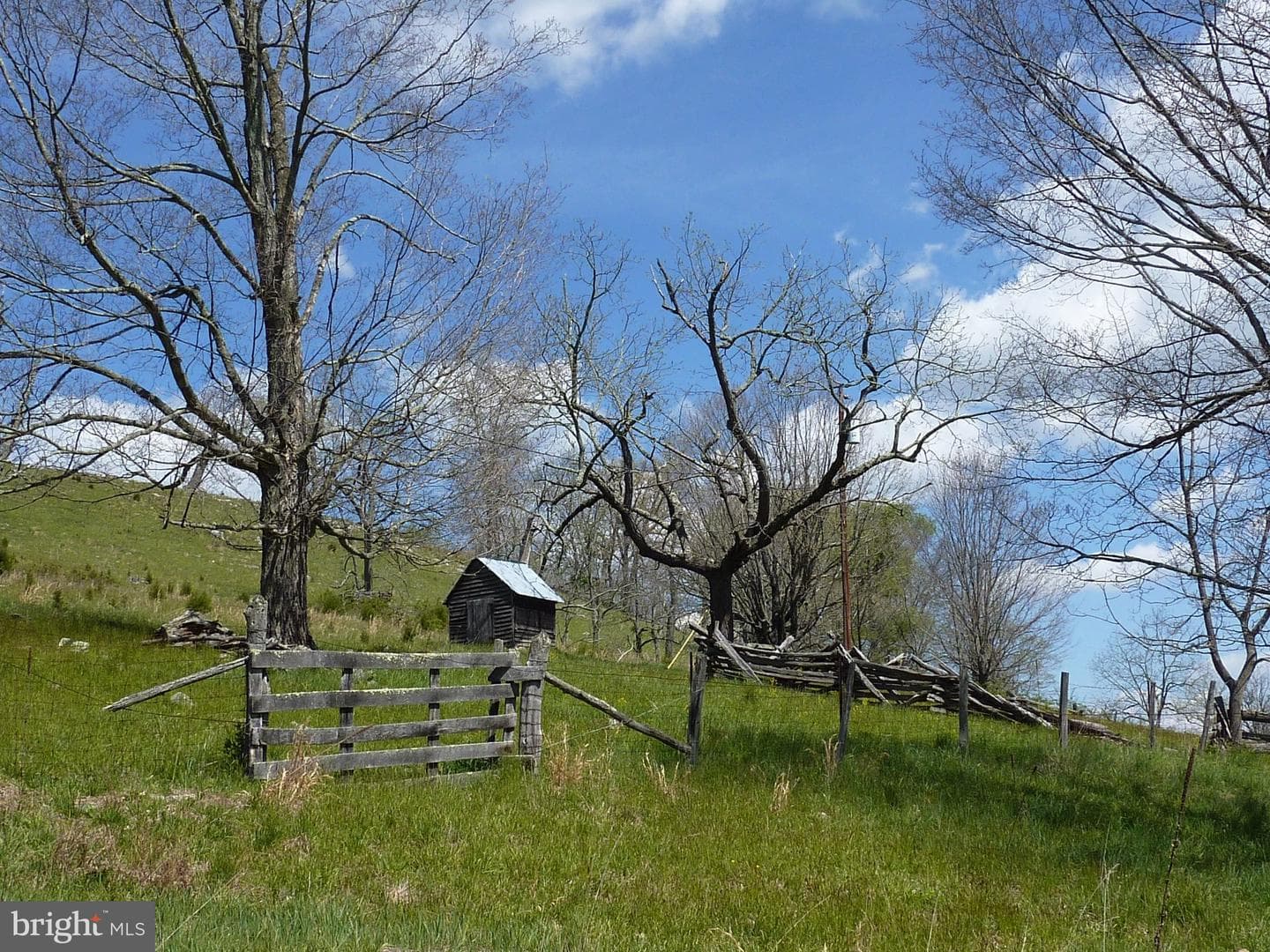 270 Dahmer Road photo 14
