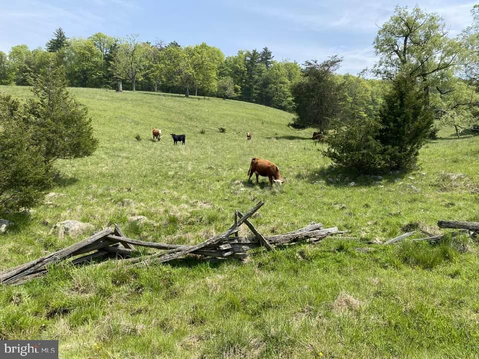 270 Dahmer Road photo 17