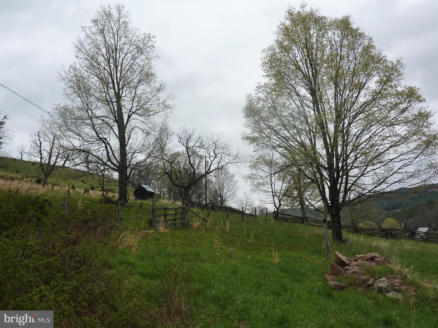 270 Dahmer Road photo 19