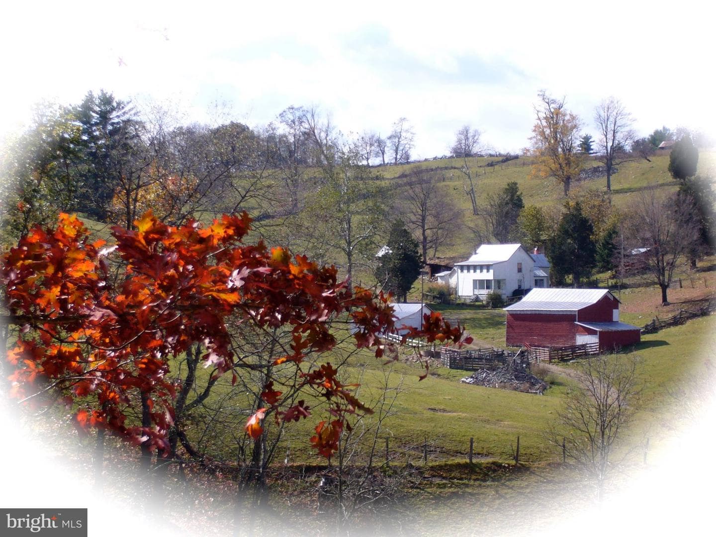 270 Dahmer Road photo 2