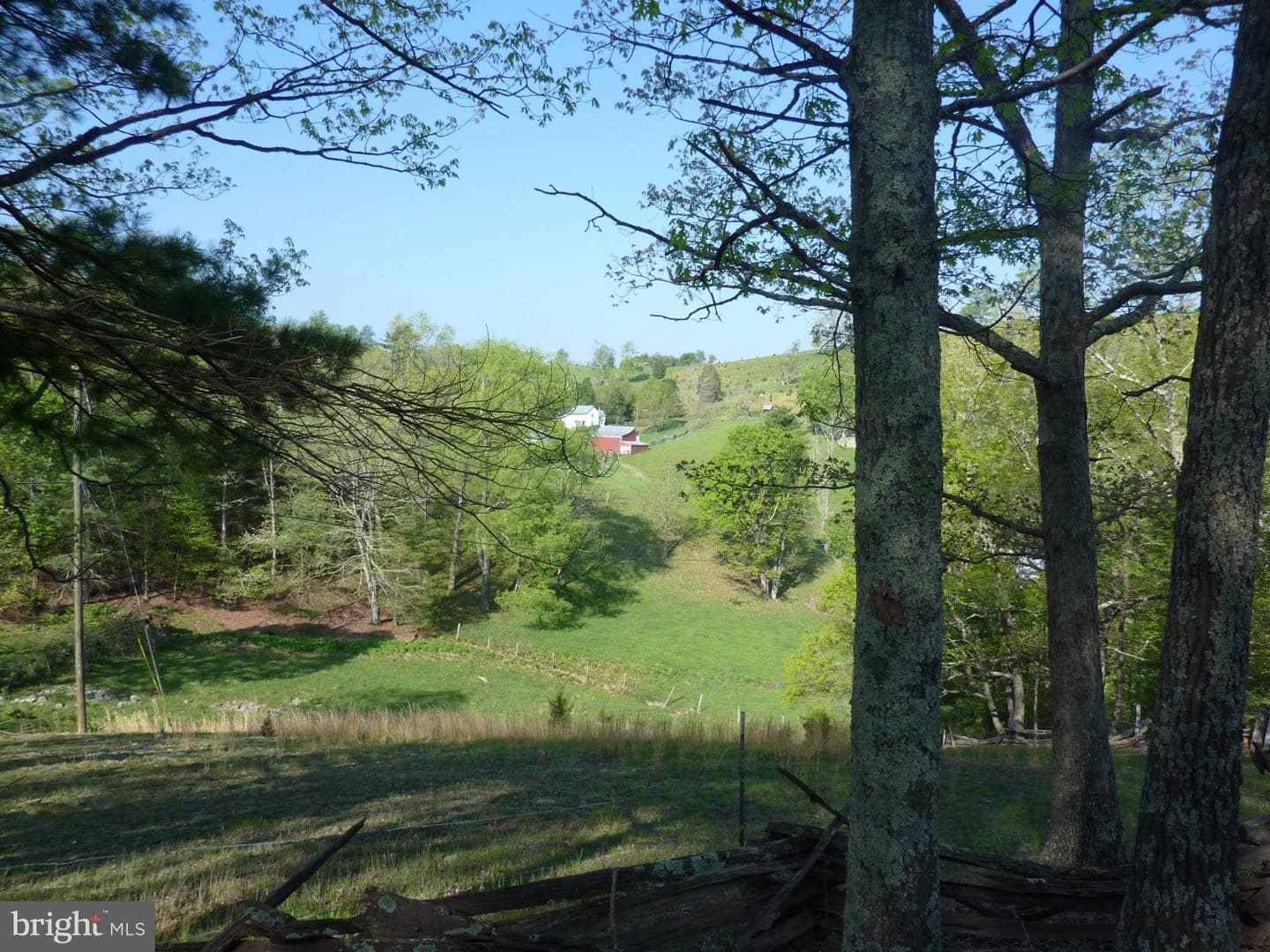 270 Dahmer Road photo 20