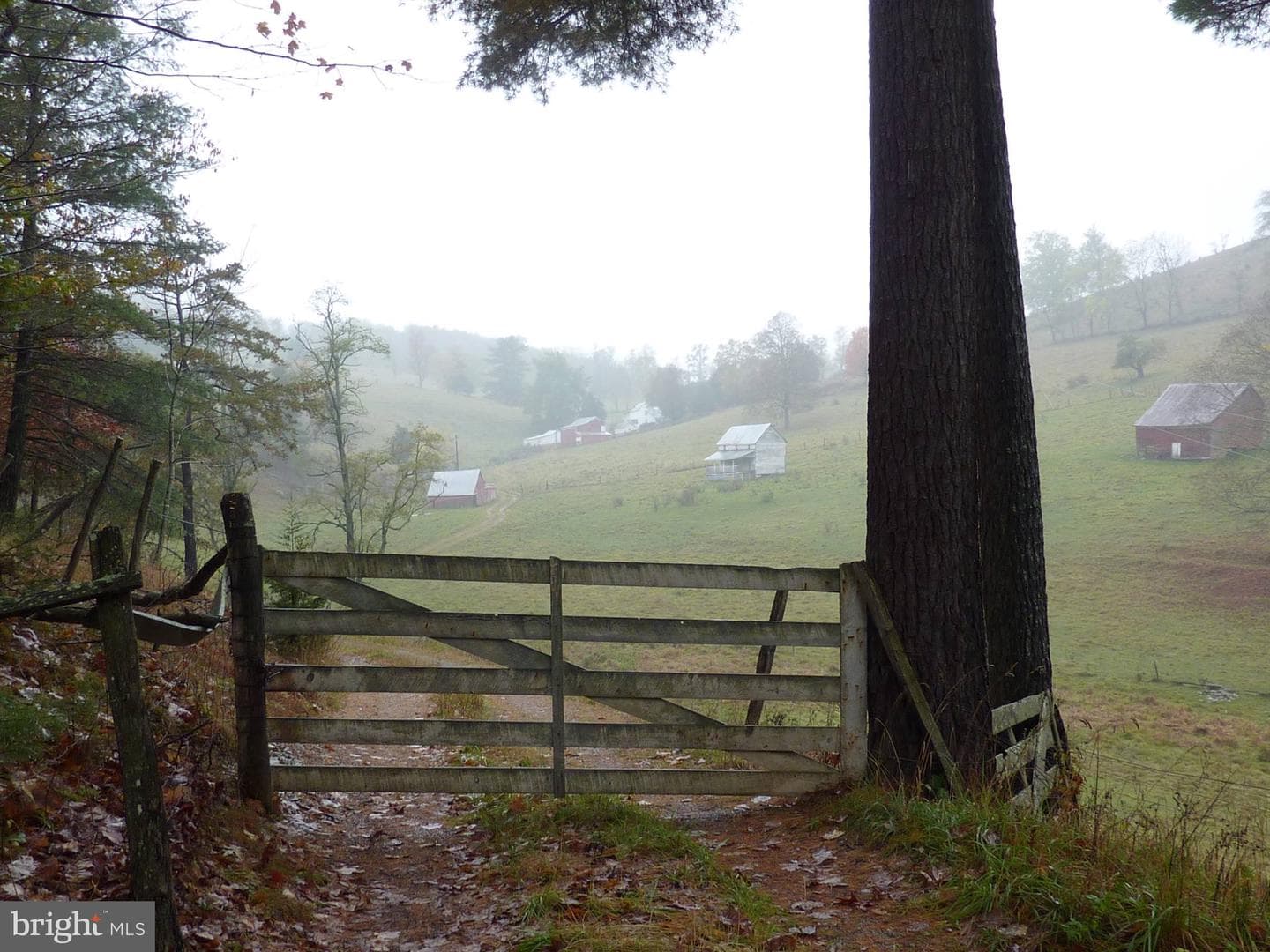 270 Dahmer Road photo 21