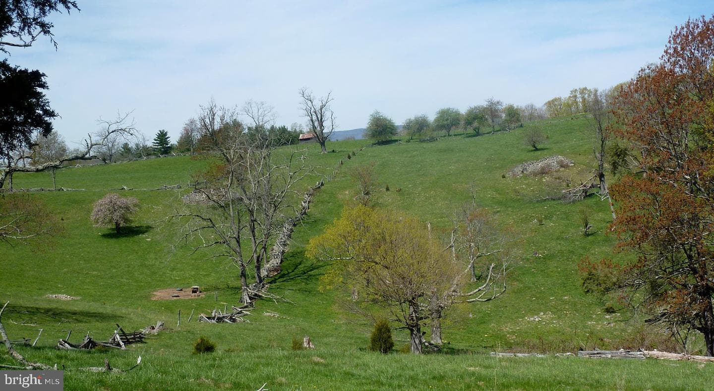 270 Dahmer Road photo 6