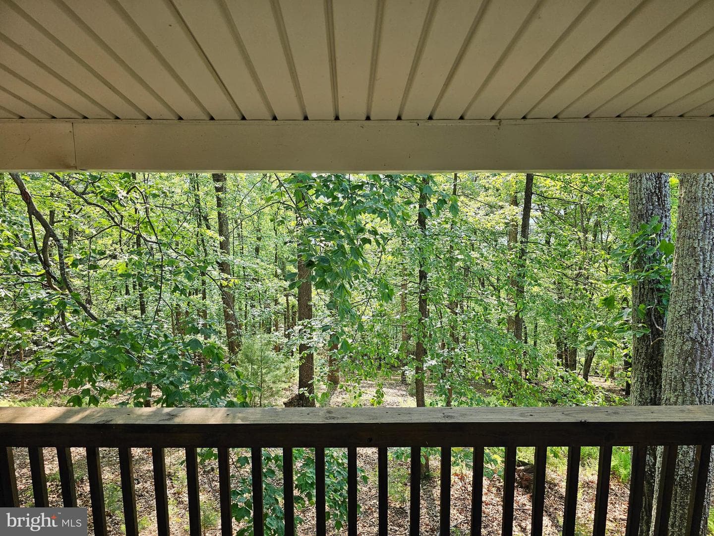 1725 Loop Road photo 24