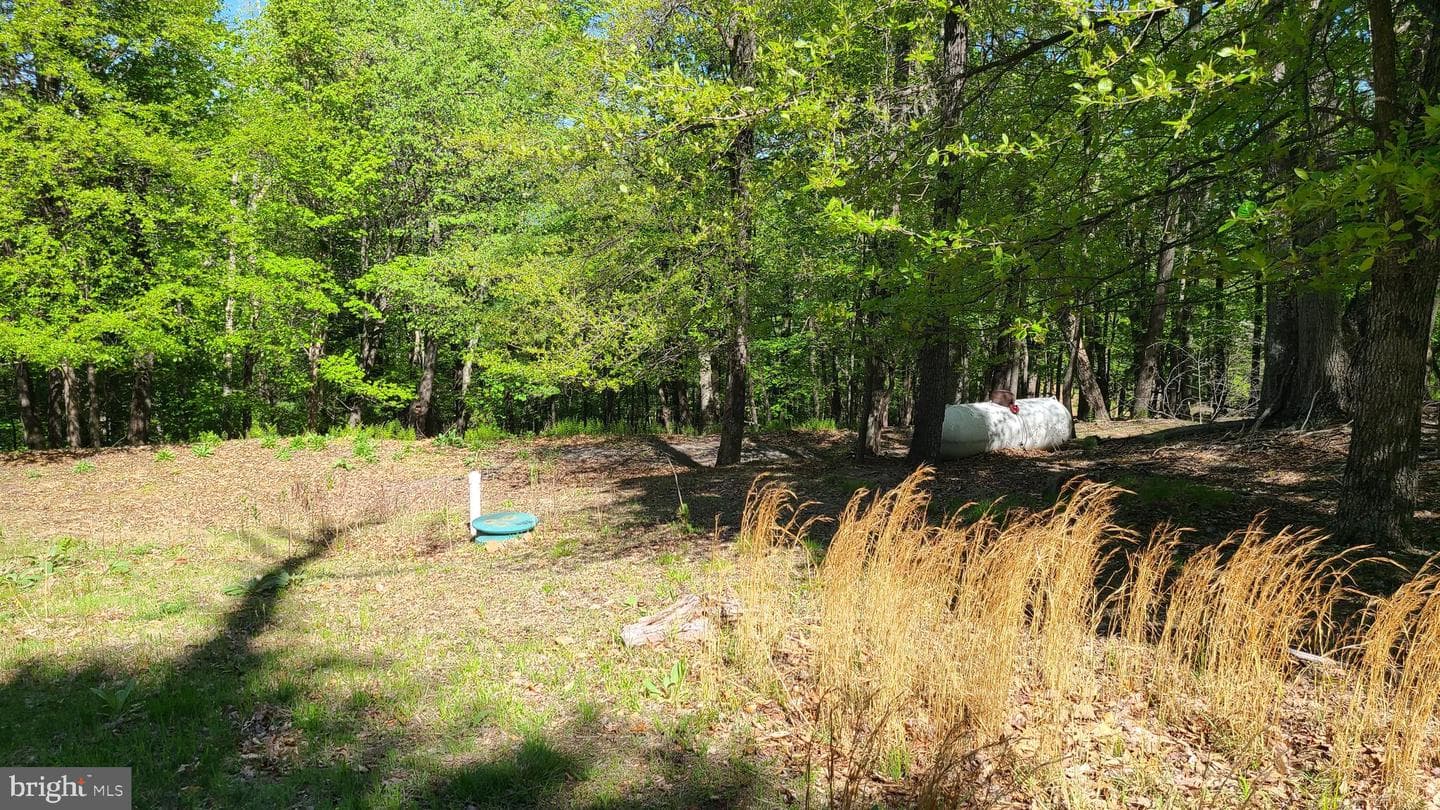 1725 Loop Road photo 46