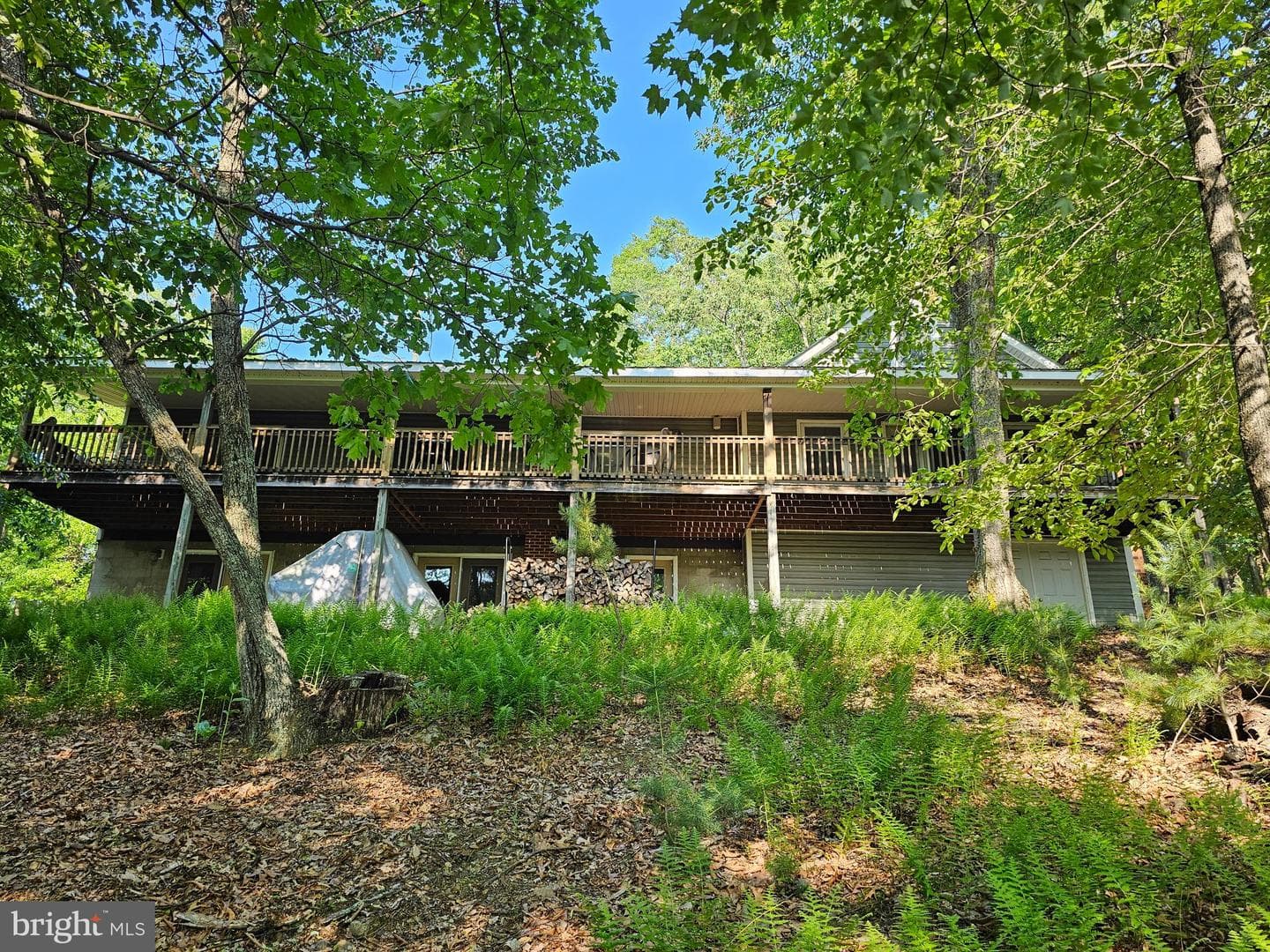 1725 Loop Road photo 6