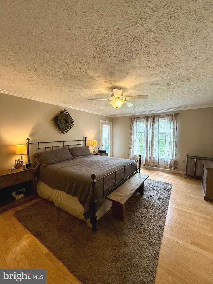 137 Elm Street photo 46
