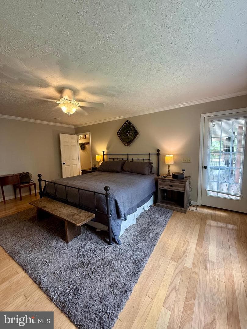 137 Elm Street photo 47