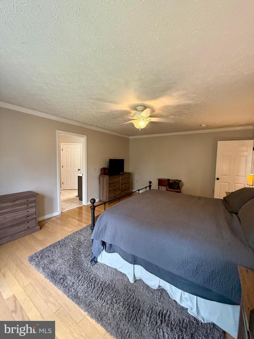 137 Elm Street photo 50