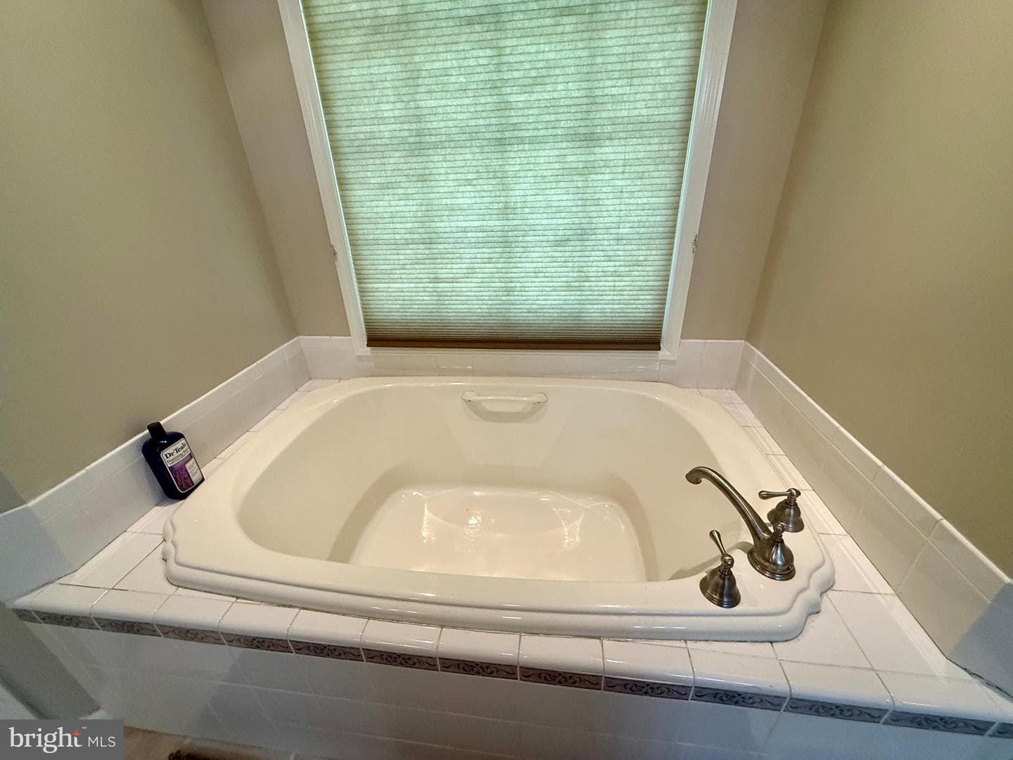 137 Elm Street photo 53
