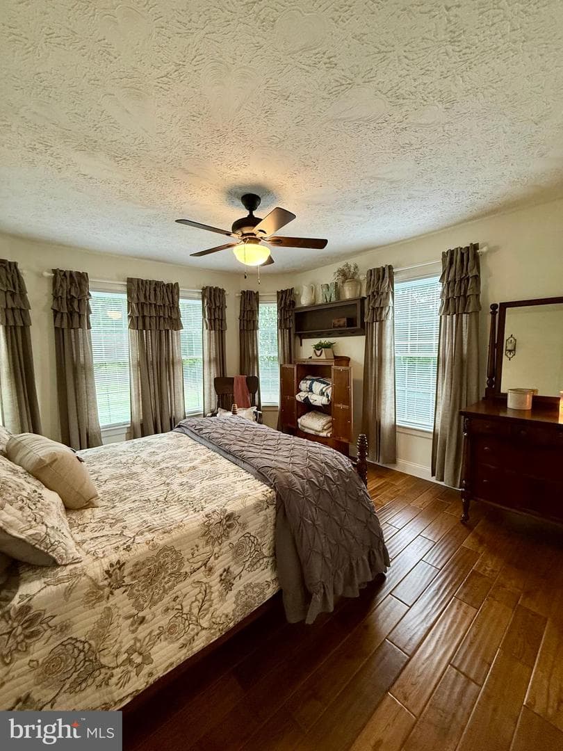 137 Elm Street photo 67