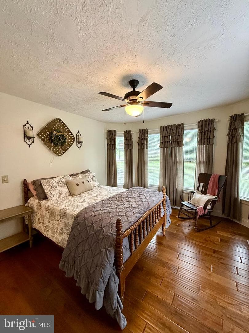 137 Elm Street photo 68