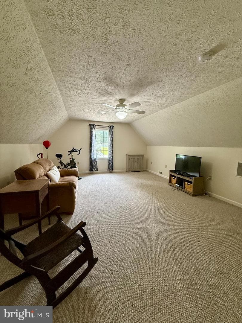 137 Elm Street photo 73
