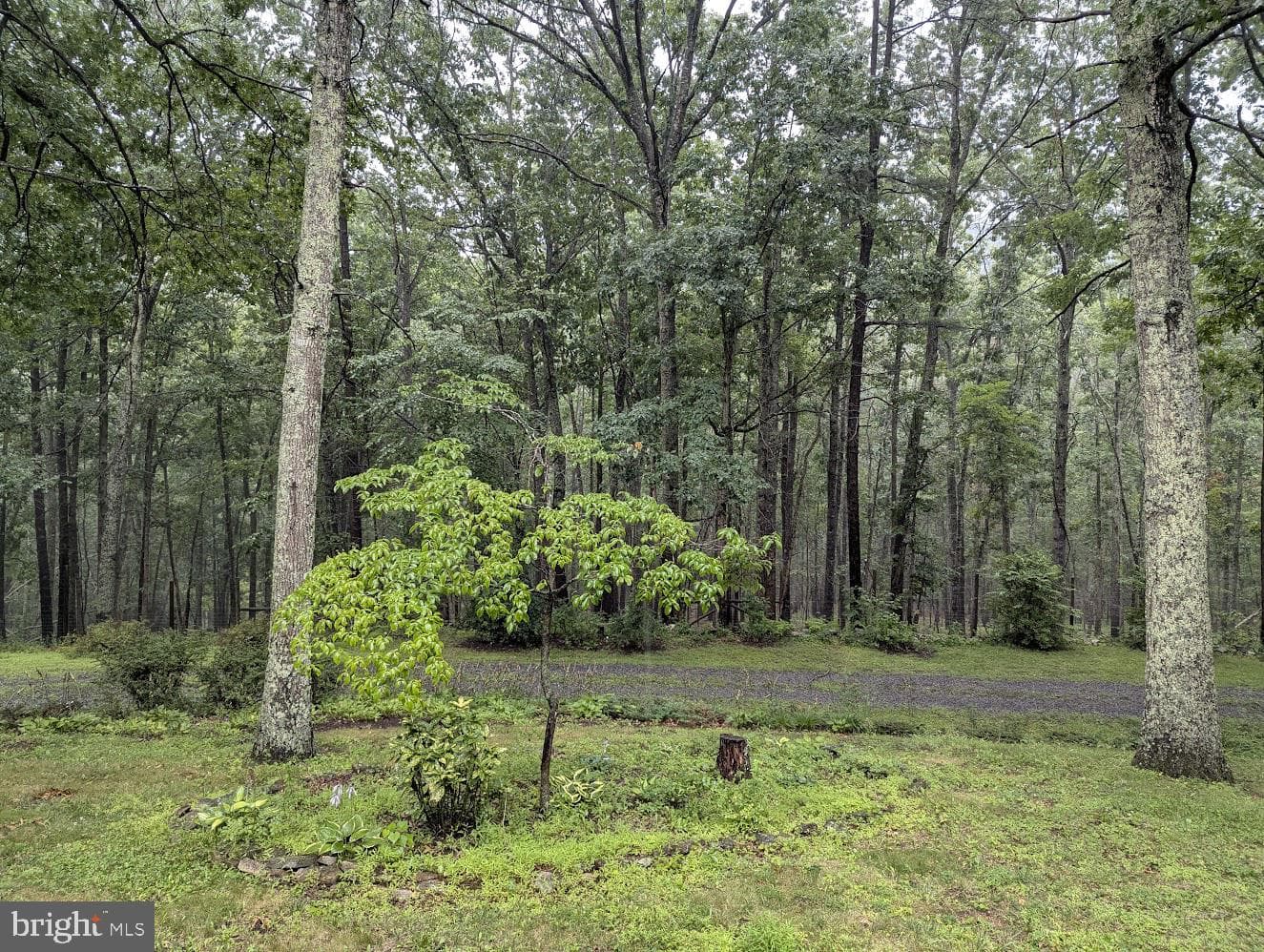1537 Hidden Valley Road photo 10